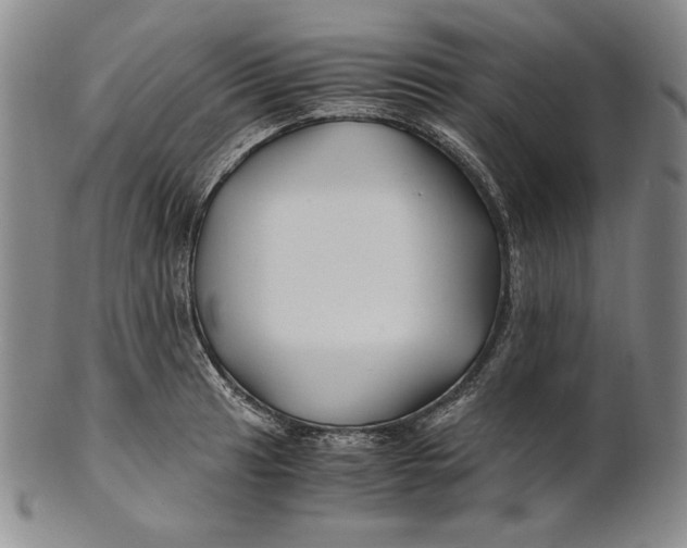 X0000100761041200807101722