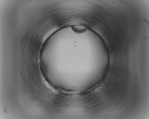 X0000100761042200807101722