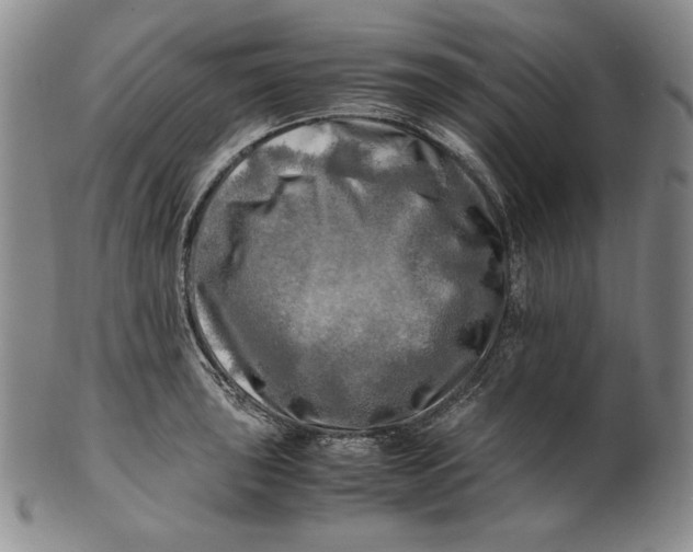 X0000100761043200807101723