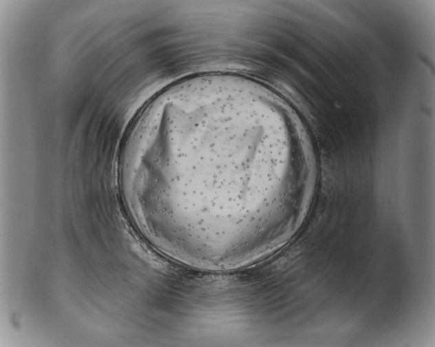 X0000100761044200807101723