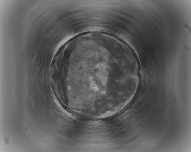 X0000100761045200807101723