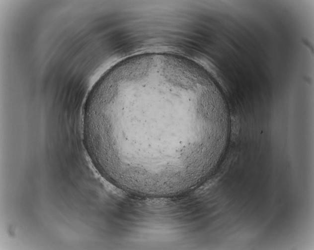 X0000100761046200807101723