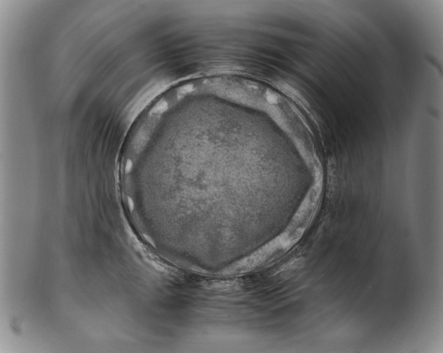 X0000100761047200807101723