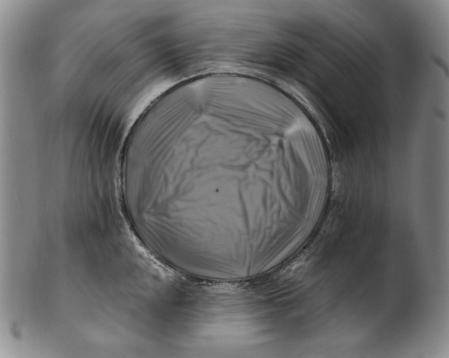 X0000100761048200807101723