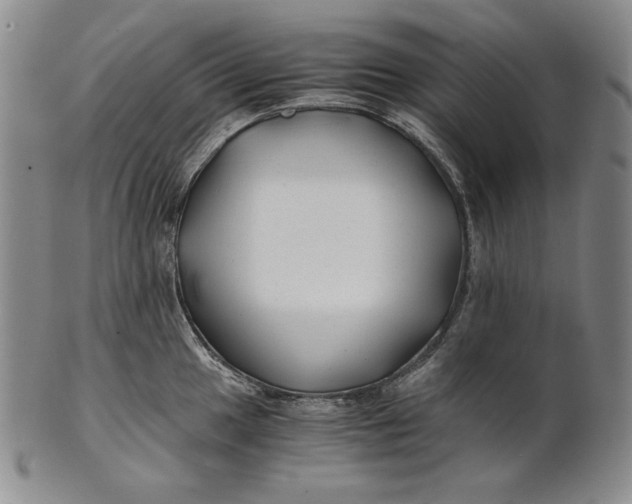 X0000100761049200807101723