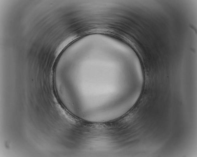 X0000100761050200807101723