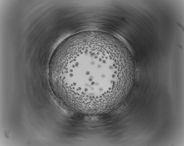 X0000100761051200807101723