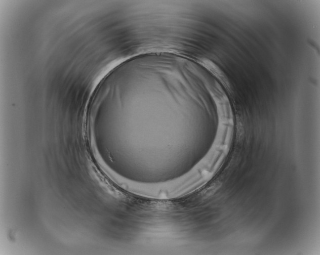 X0000100761052200807101723