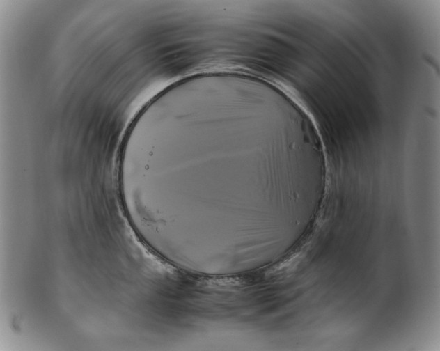 X0000100761053200807101723