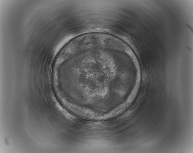 X0000100761054200807101723