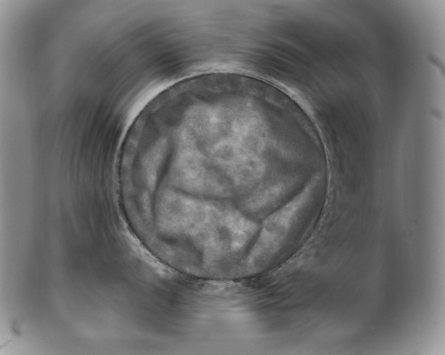 X0000100761056200807101723