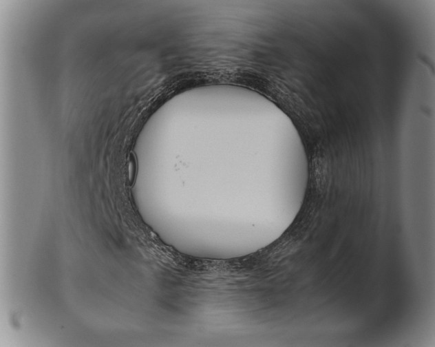 X0000100761057200807101722