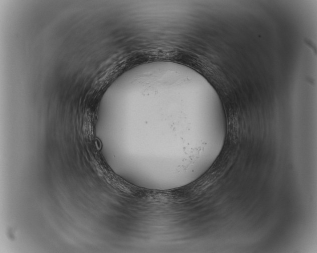 X0000100761058200807101722