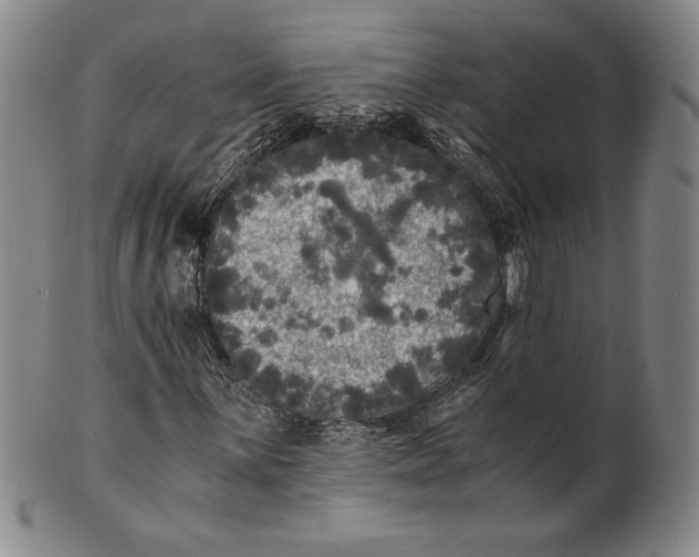 X0000100761059200807101722