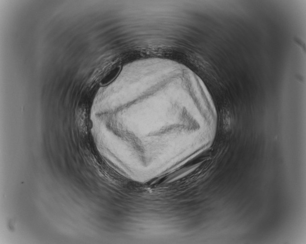 X0000100761060200807101722