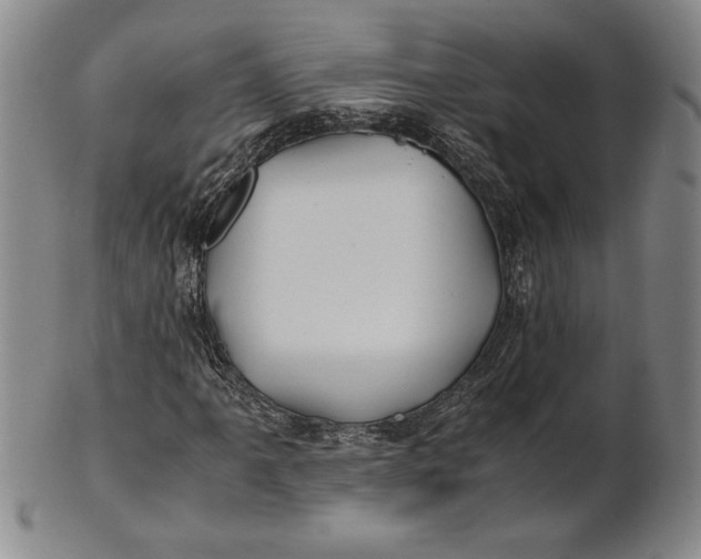 X0000100761061200807101722