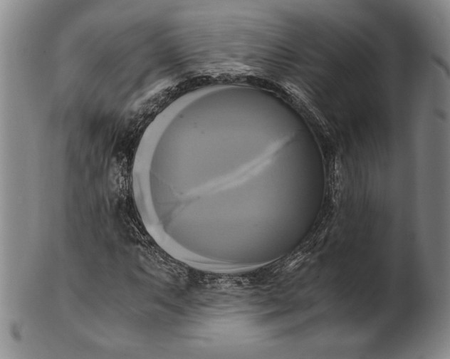 X0000100761063200807101722