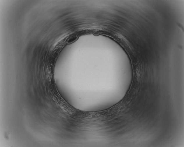 X0000100761064200807101722