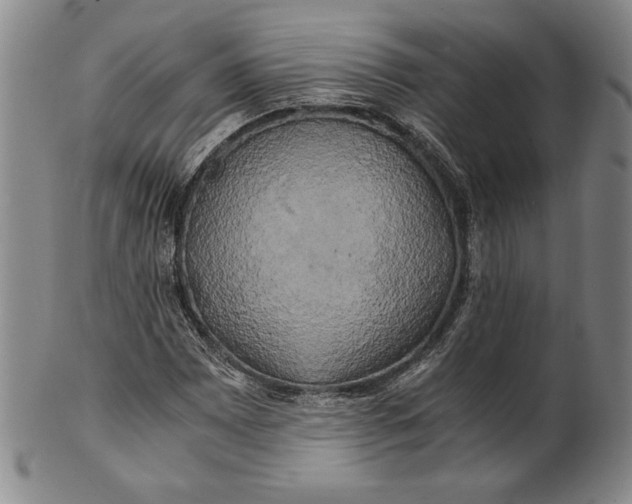 X0000100761065200807101722