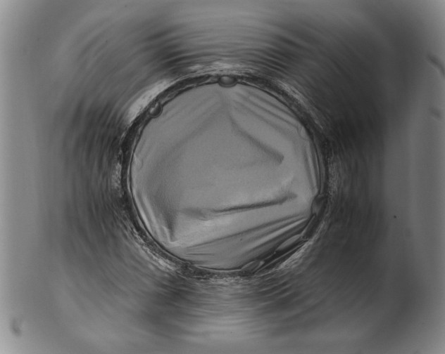 X0000100761066200807101722