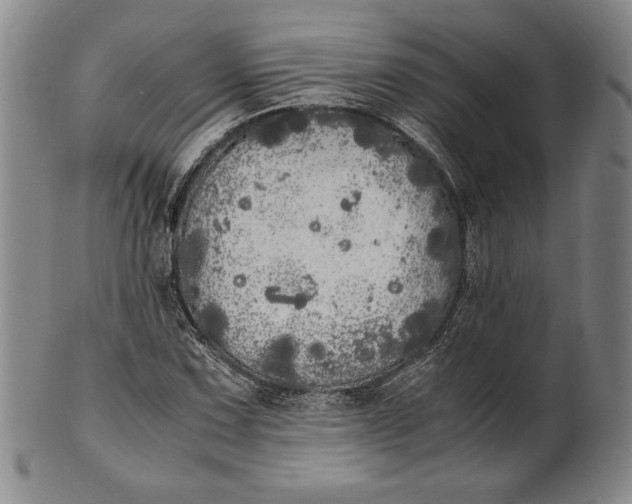 X0000100761067200807101722