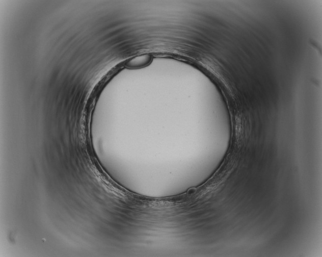 X0000100761068200807101722