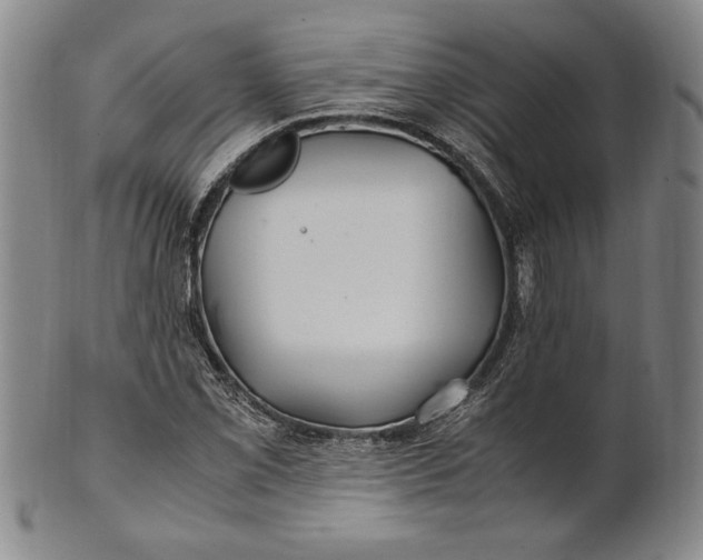 X0000100761069200807101722