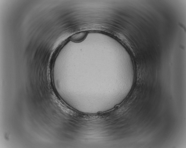 X0000100761072200807101722