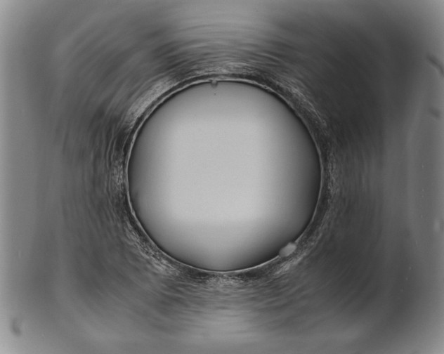 X0000100761073200807101722