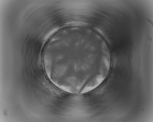 X0000100761074200807101722