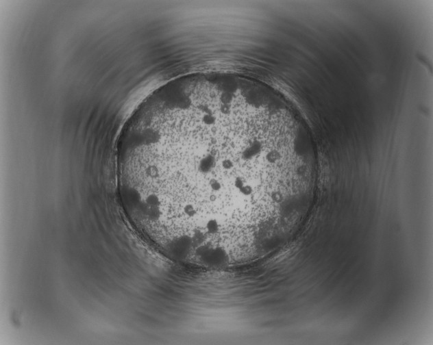 X0000100761075200807101722