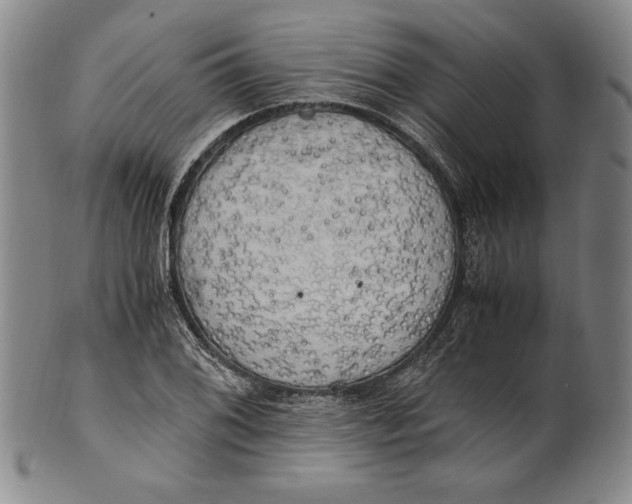 X0000100761076200807101722