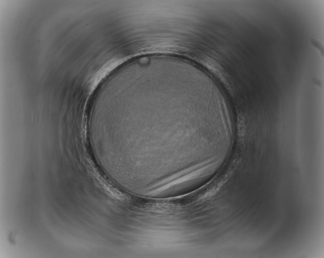 X0000100761077200807101721