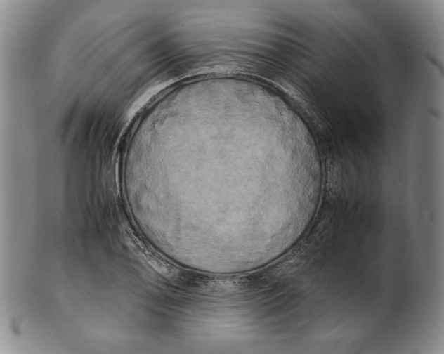 X0000100761078200807101721