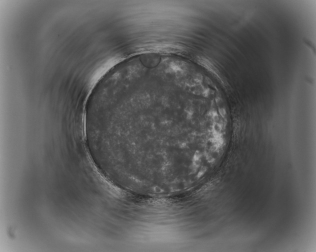 X0000100761079200807101721