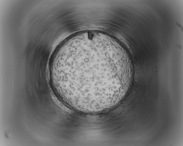 X0000100761080200807101721