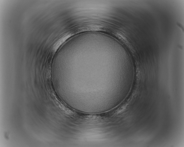 X0000100761081200807101721