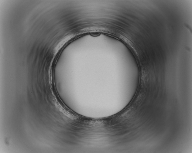 X0000100761082200807101721