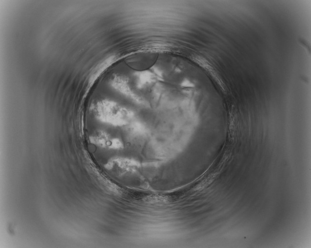 X0000100761083200807101721