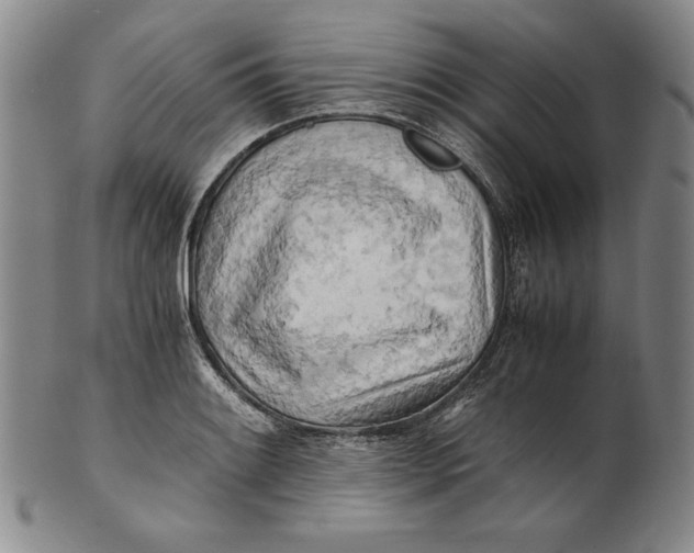 X0000100761084200807101721