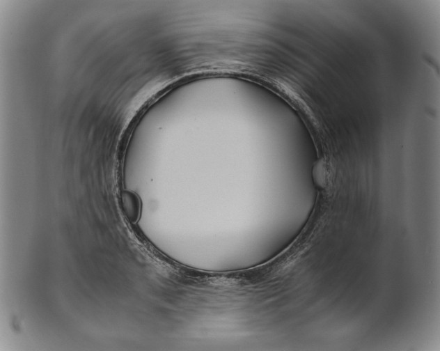 X0000100761085200807101721