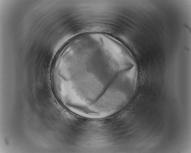 X0000100761086200807101721