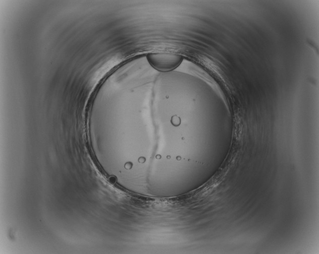 X0000100761087200807101721