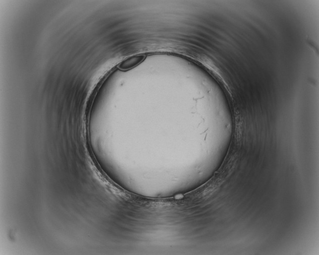 X0000100761088200807101721