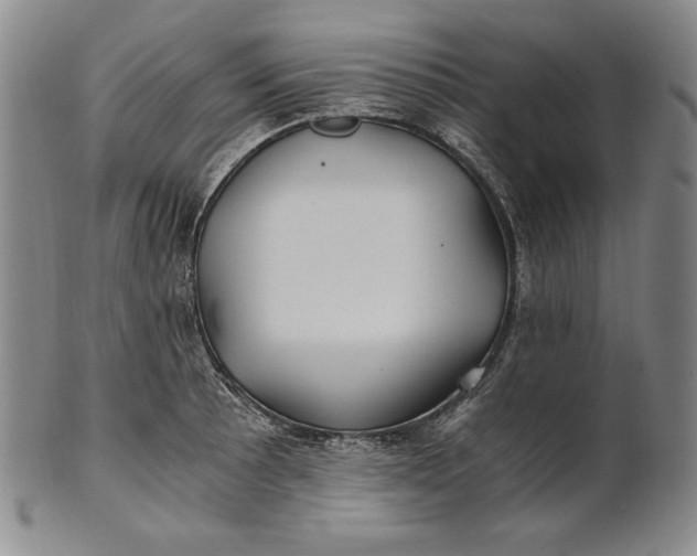 X0000100761089200807101721