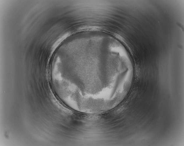 X0000100761090200807101721