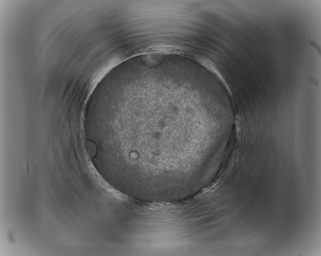 X0000100761091200807101721