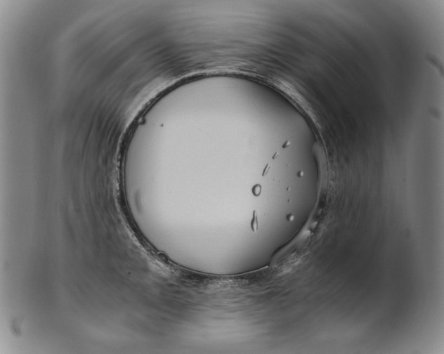 X0000100761093200807101721