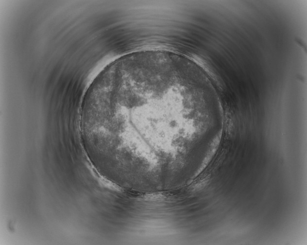 X0000100761094200807101721