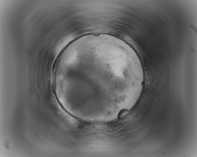 X0000100761095200807101721